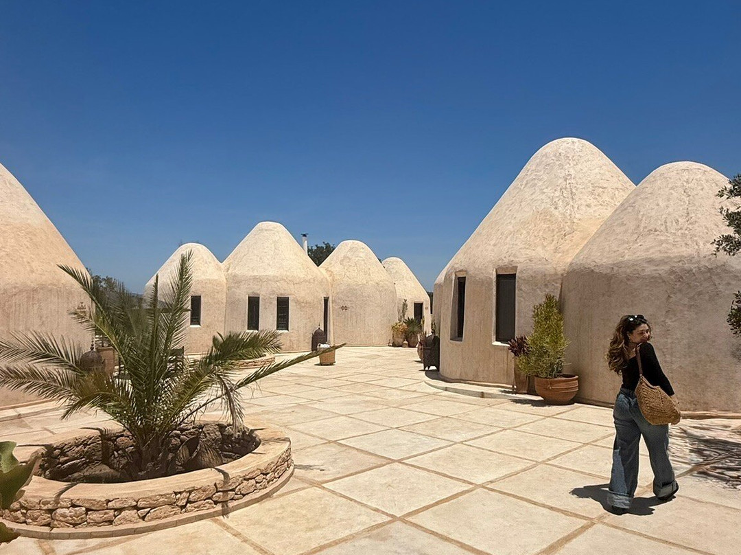 Les Jardins de Villa Maroc主图