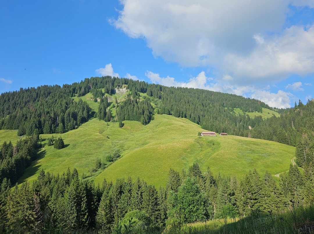 Haute Savoie Quad Megeve-Praz Sur Arly必去景点