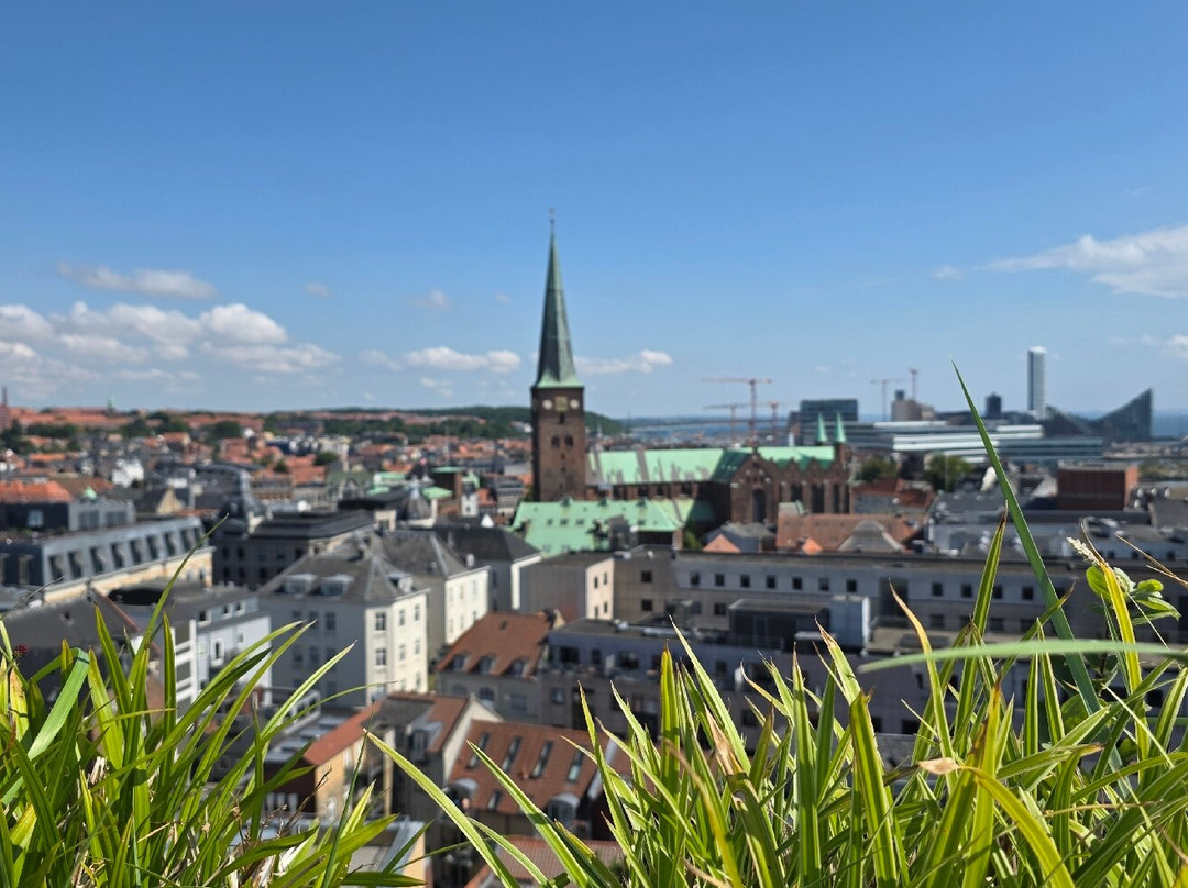 Salling Rooftop-欧胡斯必去景点