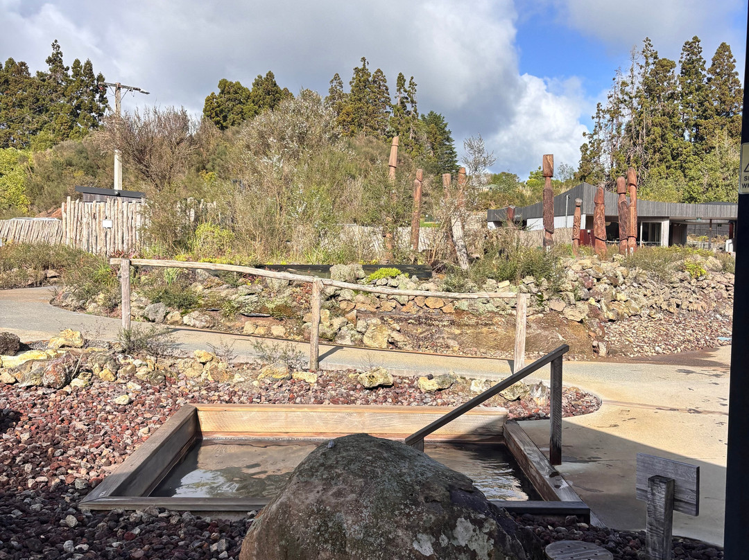 Ngawha Springs-凯科希必去景点