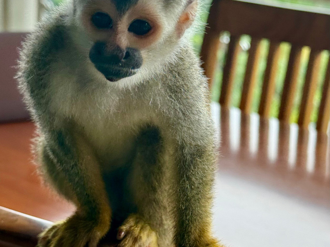 Tulemar Resort主图