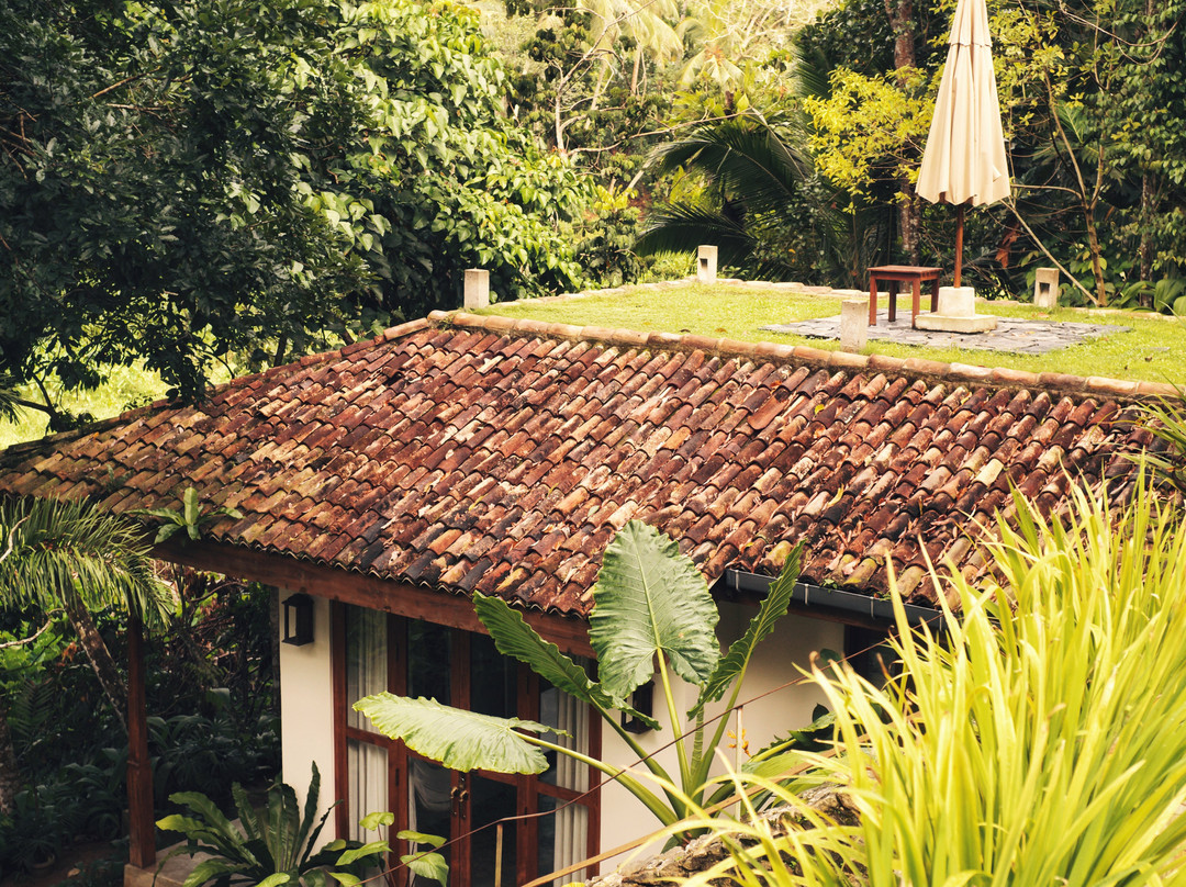 The Jungle Loft Galle主图