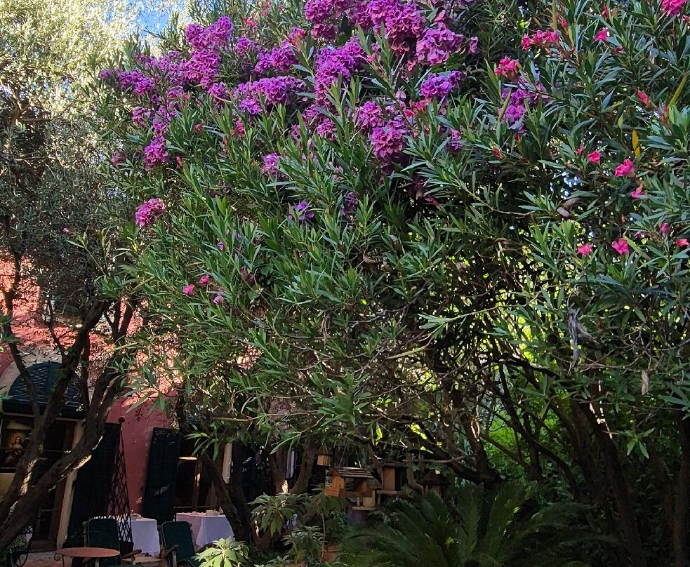 秘密花园酒店主图