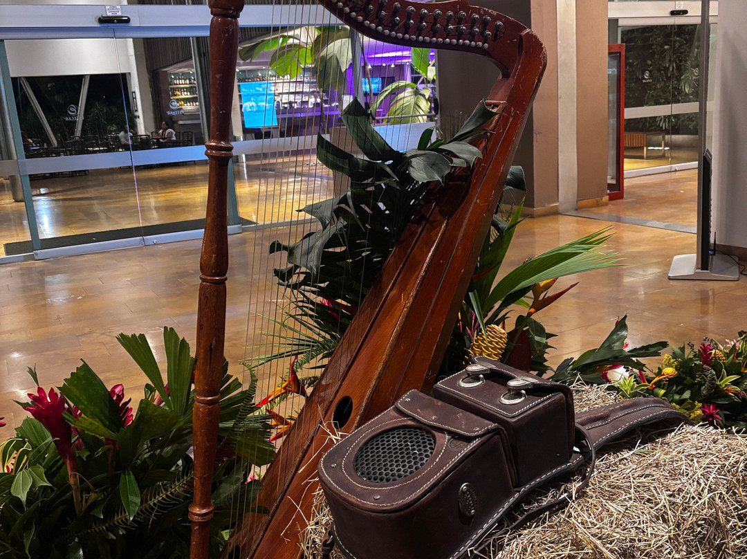 ESTELAR Villavicencio Hotel & Convention Center主图