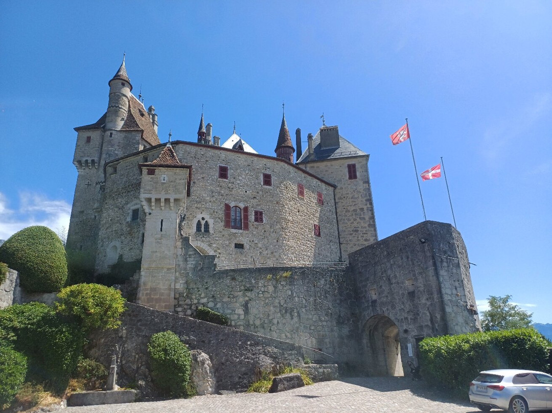 Château De Menthon-saint-bernard-圣贝尔纳必去景点