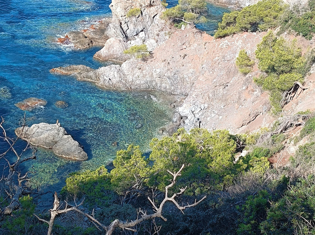 Giens Peninsula-Giens必去景点