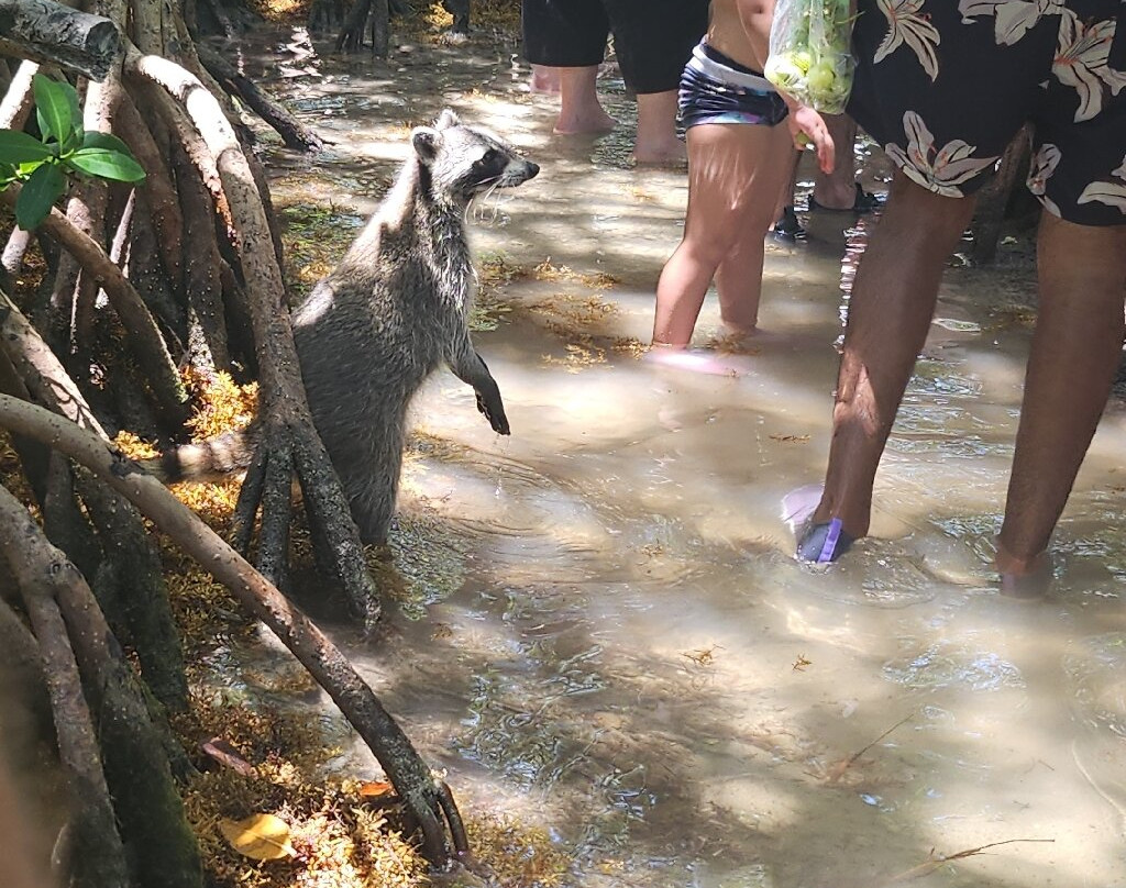 Oleta River State Park-North Miami必去景点