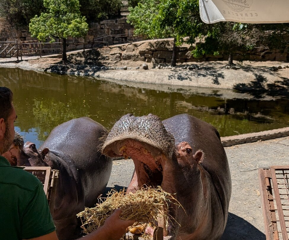 Selwo Aventura-埃斯特波纳必去景点