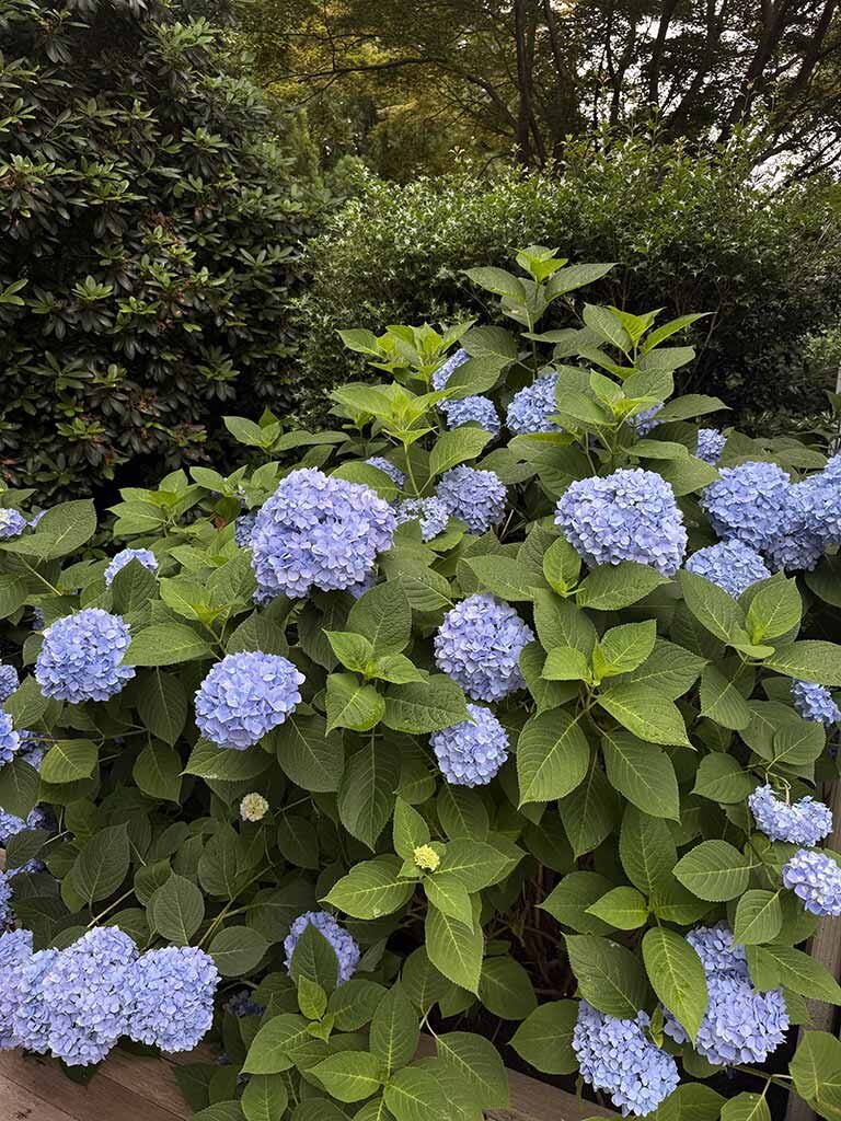 The Hedges Inn East Hampton-浴室