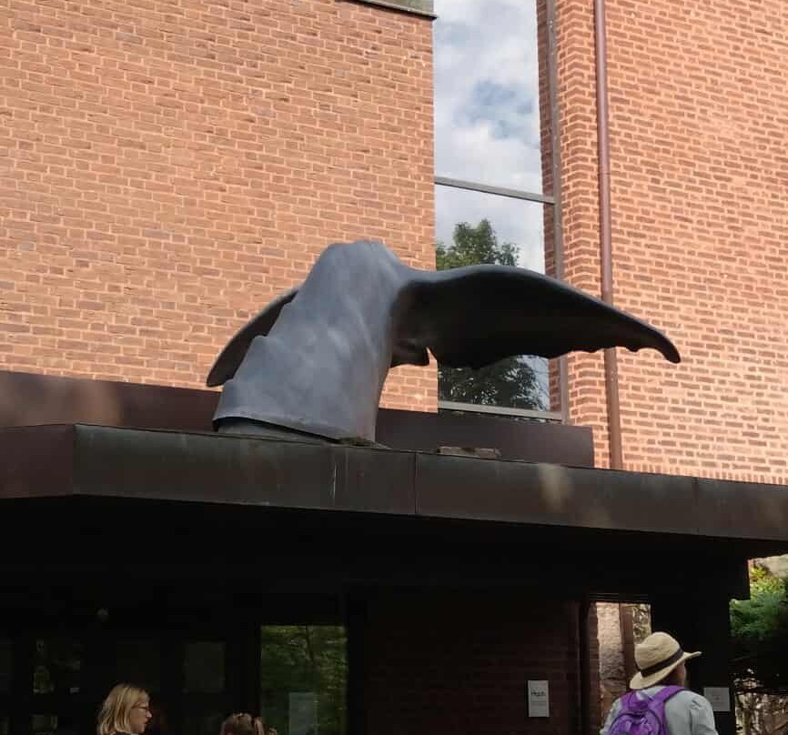 The Natural History Museum-哥德堡必去景点