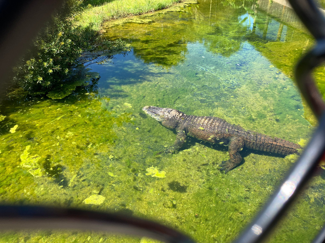 Alabama Gulf Coast Zoo-格尔夫海岸必去景点