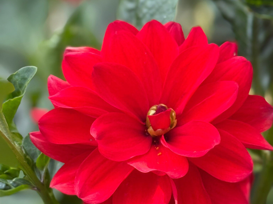 Im Malerwinkel主图