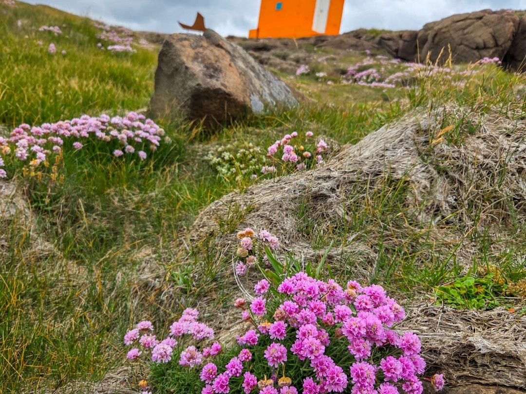 Aeoarstein Lighthouse-Djupivogur必去景点