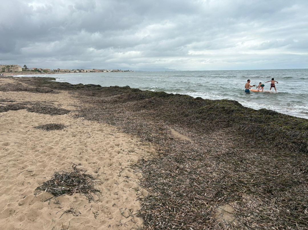 Playa Els Molins-德尼亚必去景点
