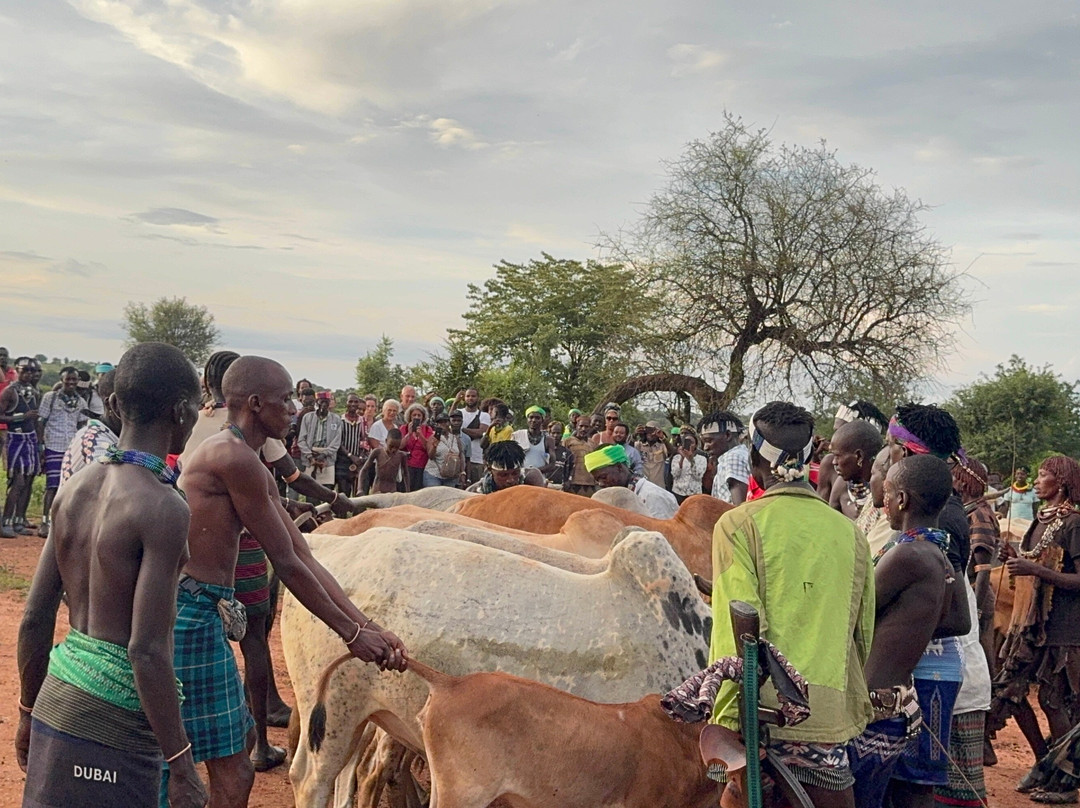 Omo Adventures-Jinka必去景点