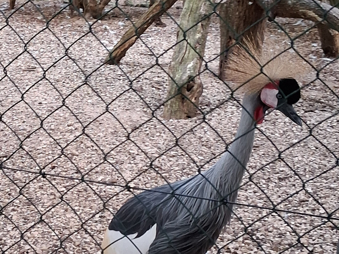 Ferme-Rieumes必去景点