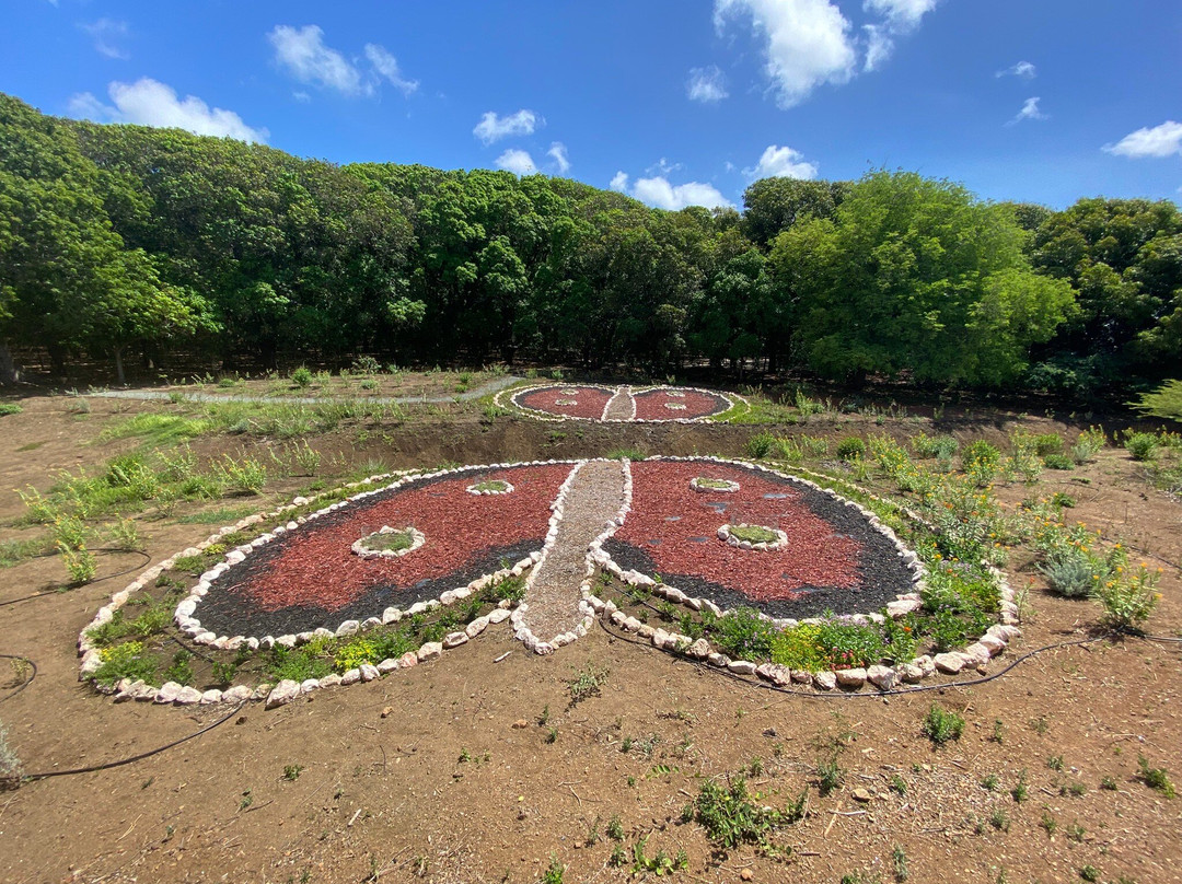 Hòfi Mango-威廉斯塔德必去景点