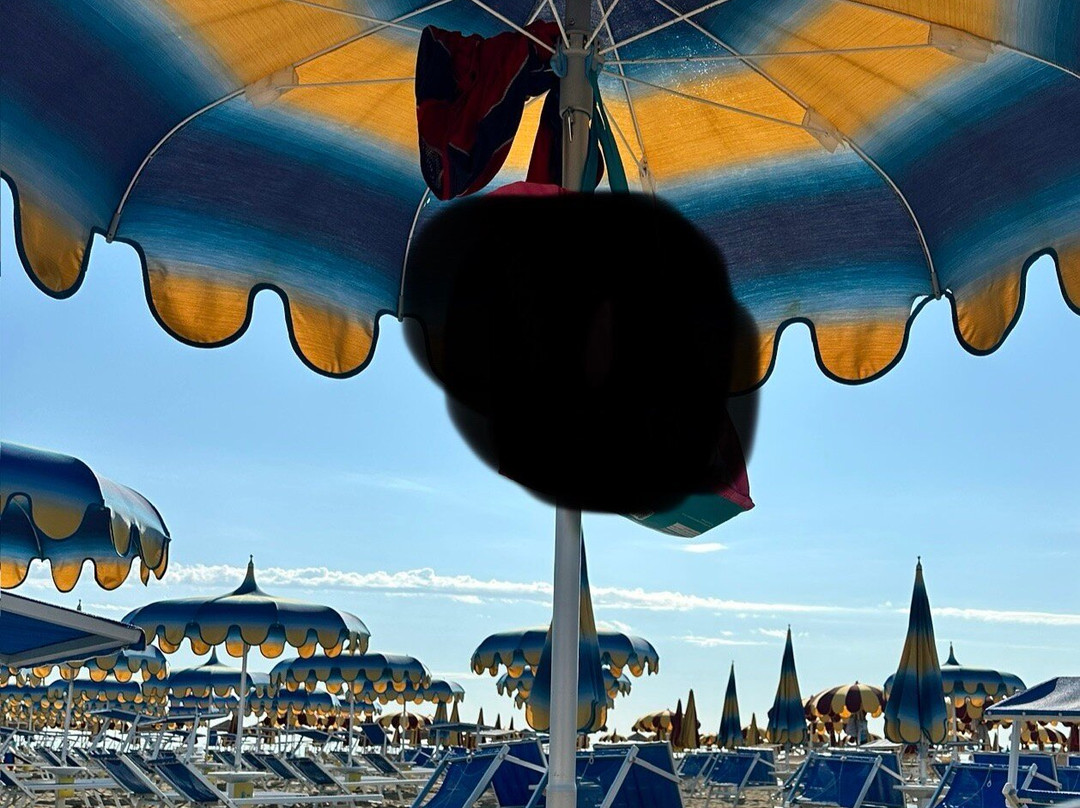 Bagno Silvano 123-Rivazzurra必去景点