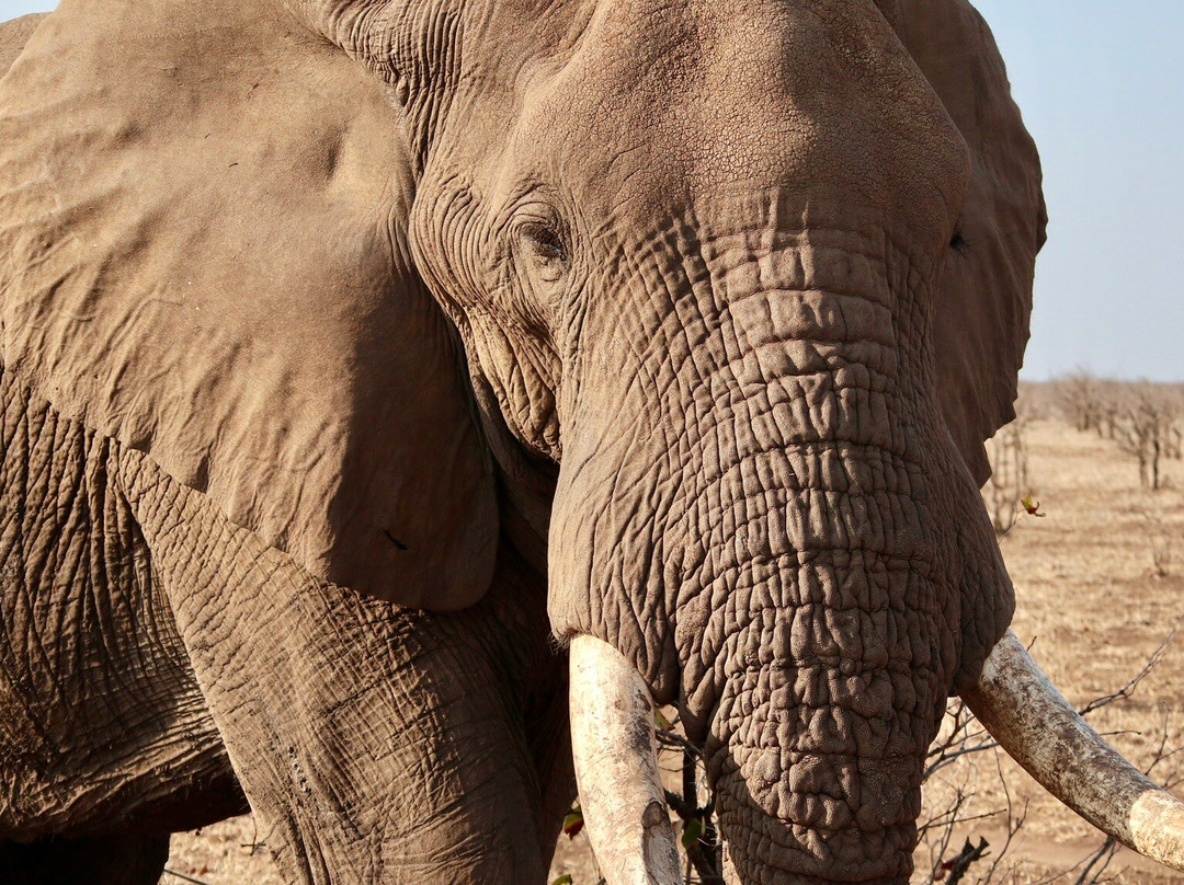 Nandzana Safaris-伐拉博瓦必去景点