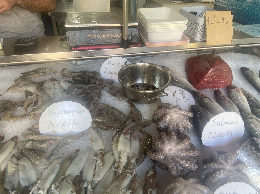 Peshk i fresket brace