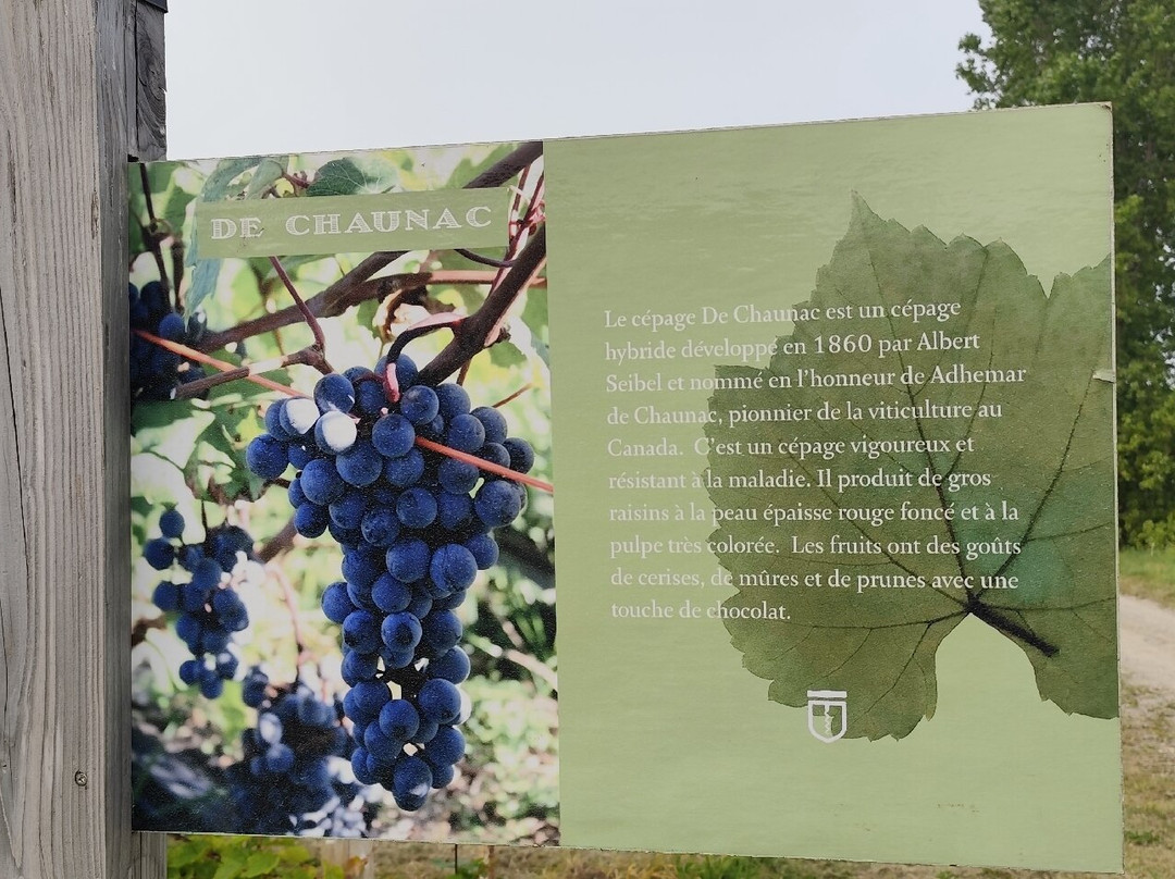 Domaine Les Brome-Fulford必去景点