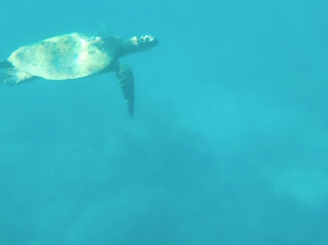 Zebubianco Tour-Nosy Iranja必去景点