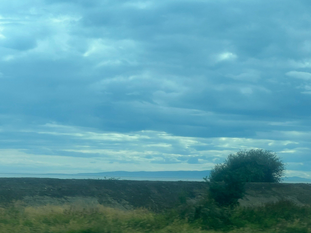 Mud Bay Park-素里必去景点
