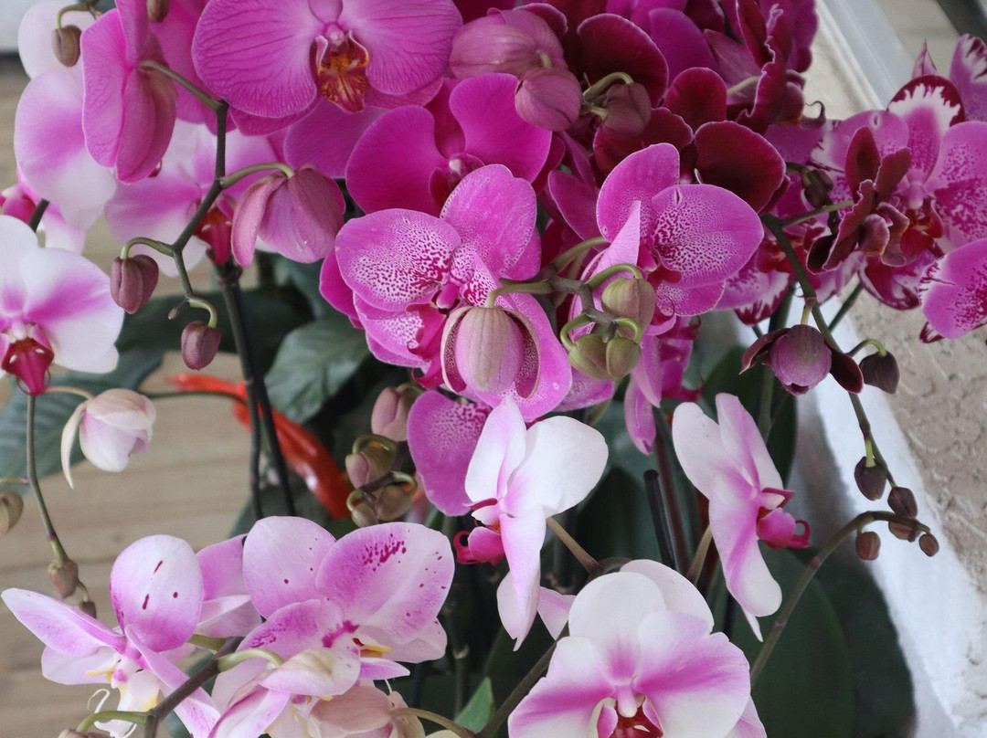 Clay Garden & Gifts Llc-Seagrove Beach必去景点