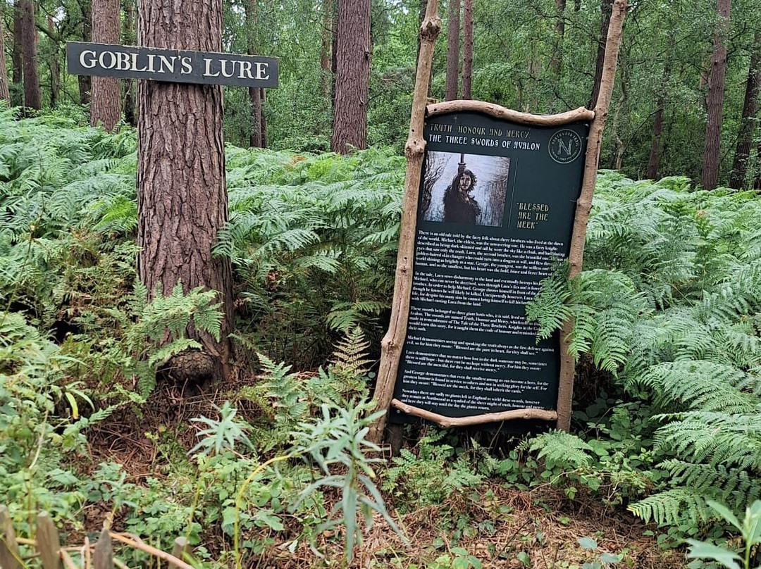 Northwood Trail – England’s Fairy Sanctuary-约克必去景点