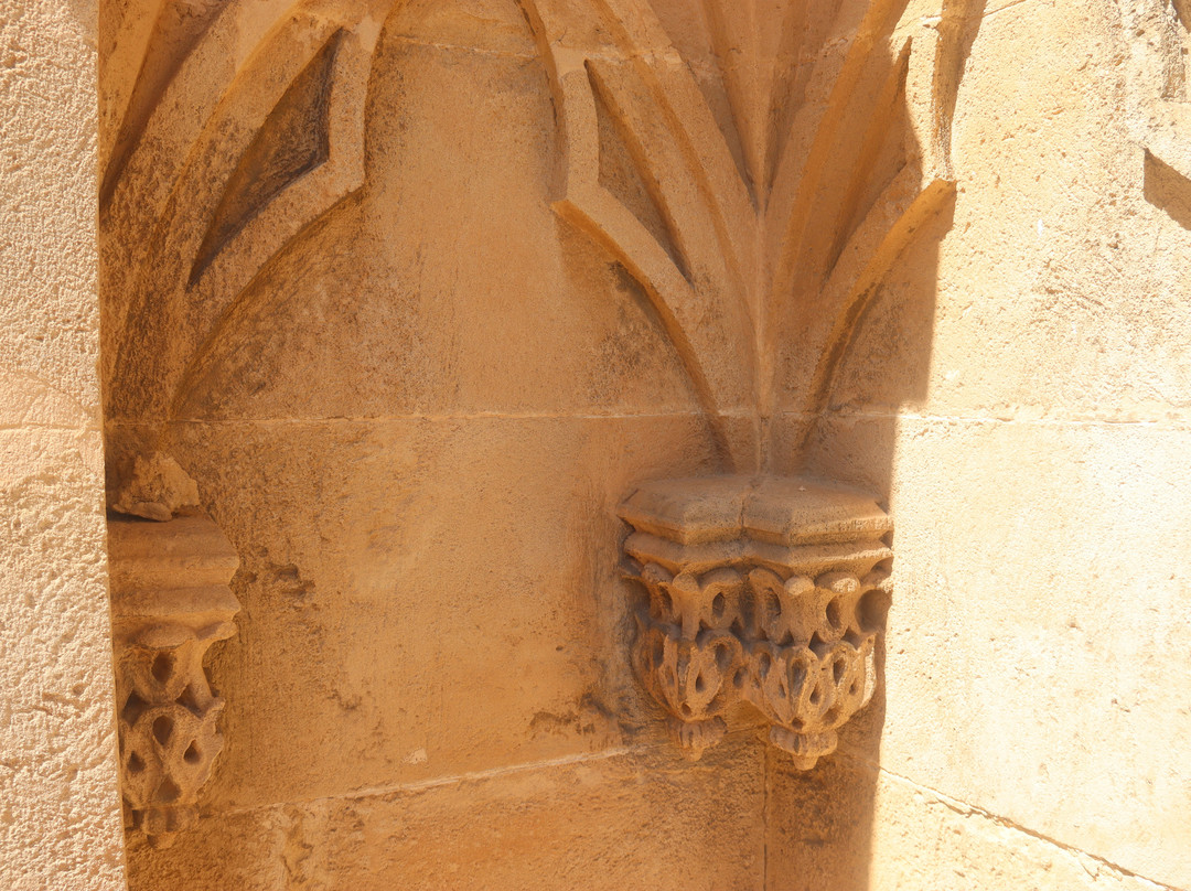 Terrazas de la Catedral de Palma-马洛卡帕尔马必去景点