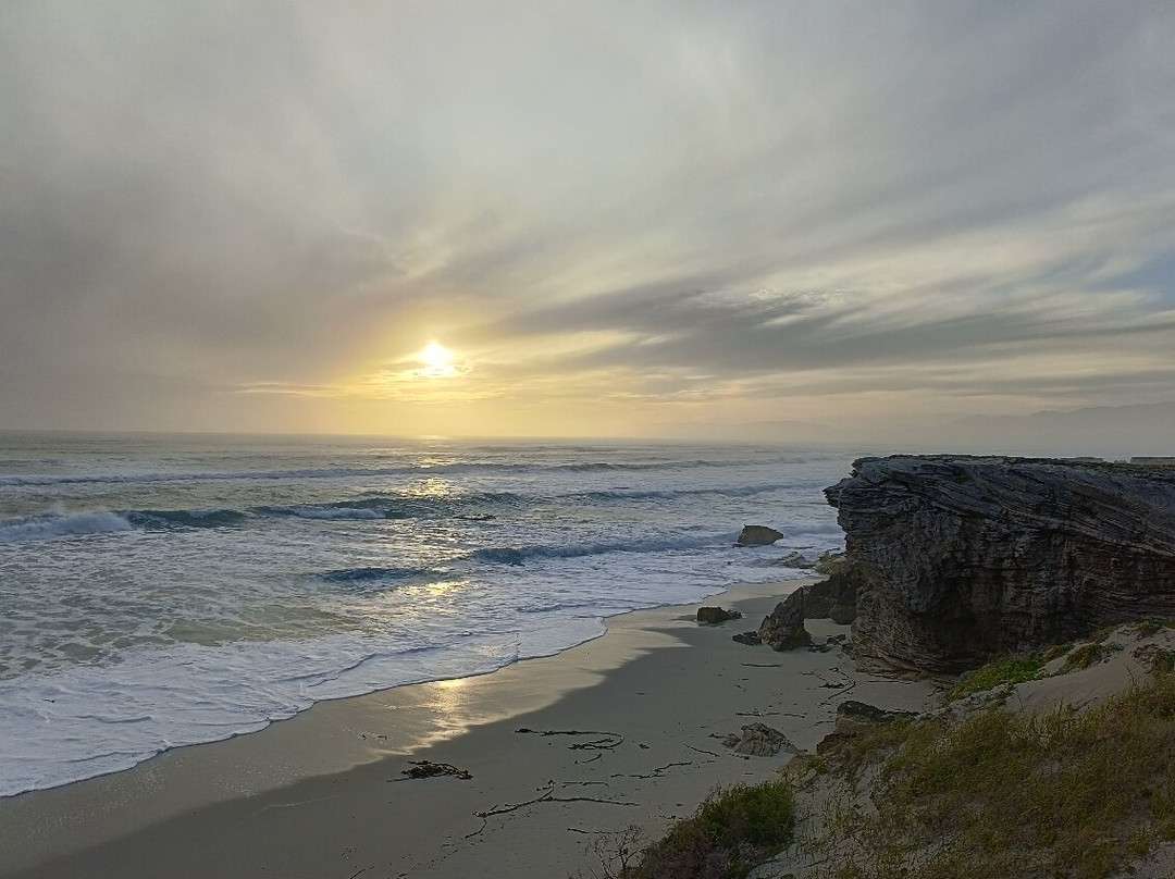 Walker Bay Nature Reserve-赫曼努斯必去景点