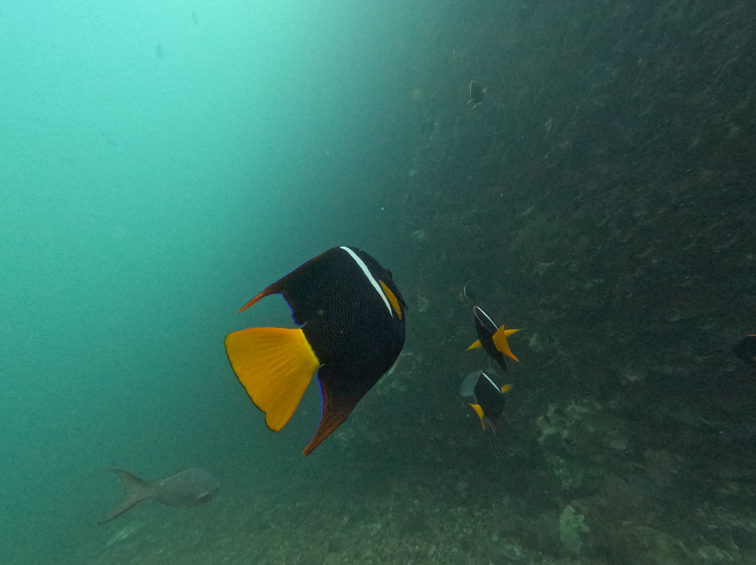 Cruise In Galapagos-阿约拉港必去景点