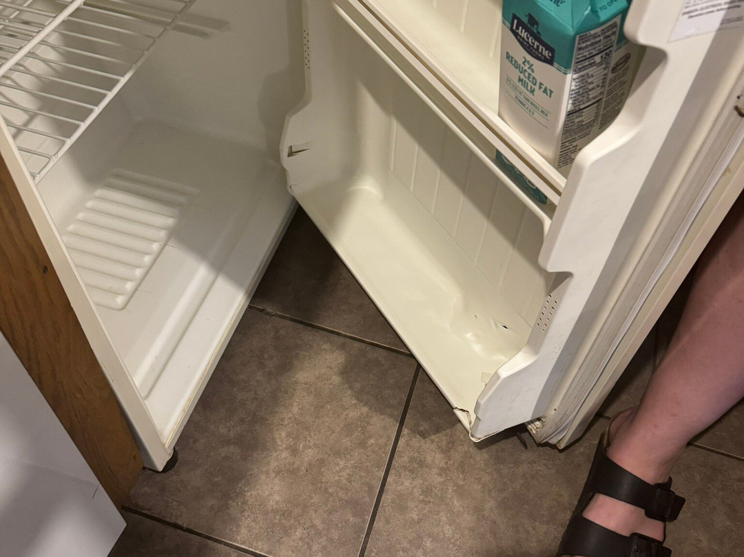 LOGE Alta Crystal主图