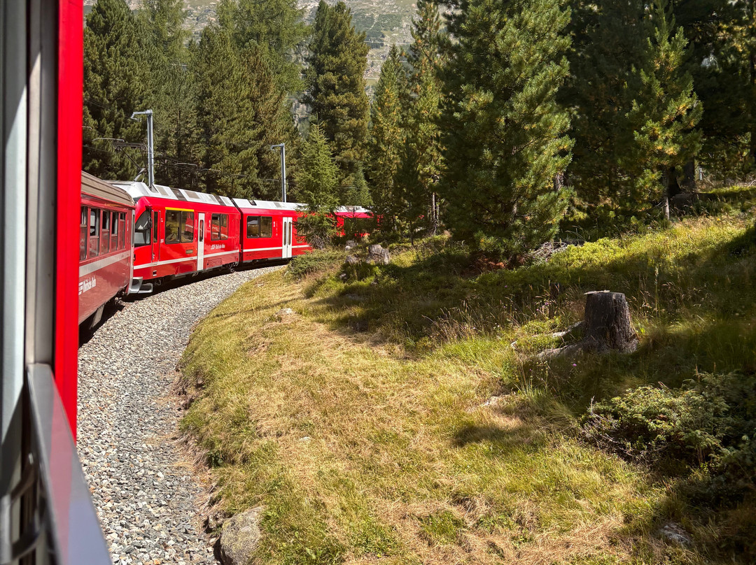 Leaning Tower-圣莫里茨必去景点