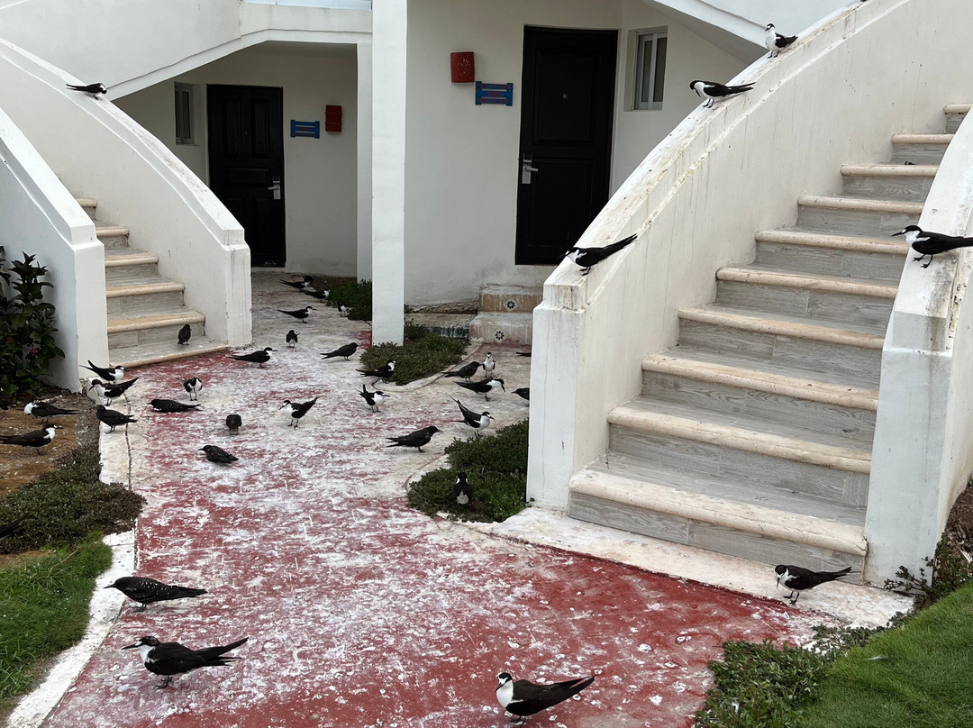 Mia Reef Isla Mujeres主图