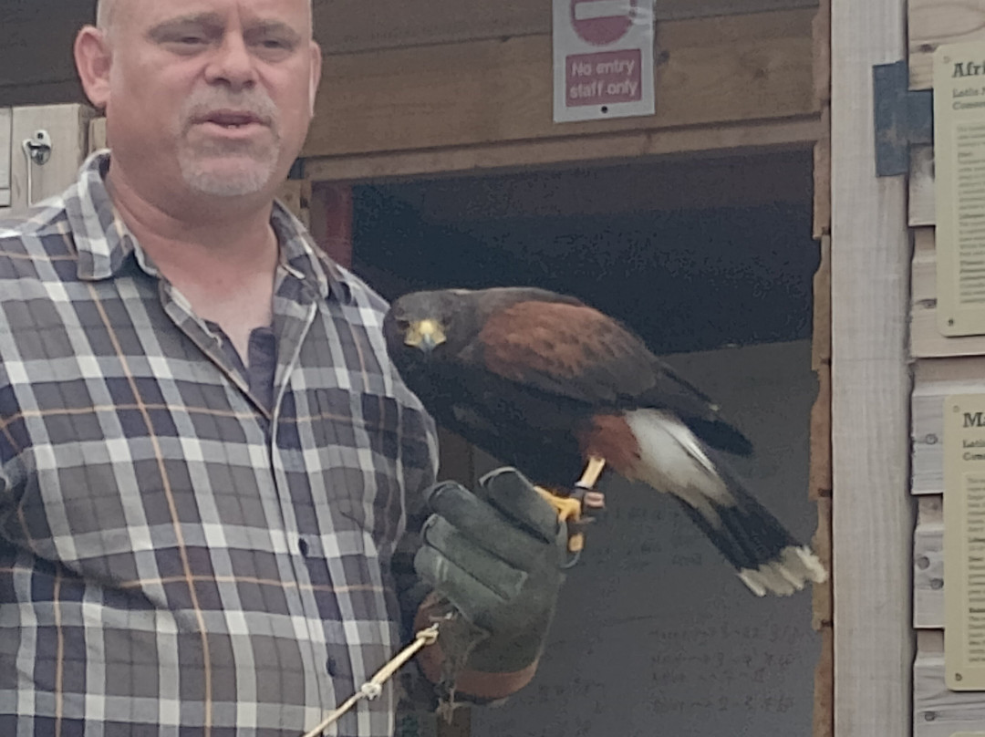 The Hawking Centre-Boughton Lees必去景点