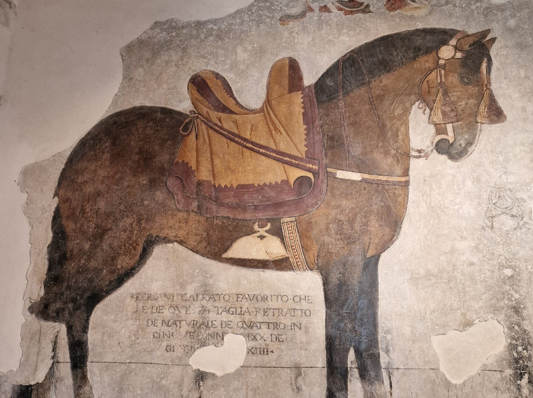 Castello Pandone Venafro-Venafro必去景点