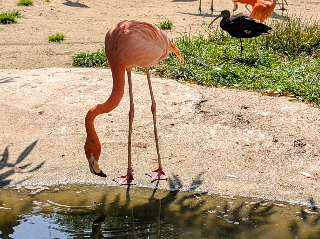 ZOO Łaczna-Mieroszow必去景点