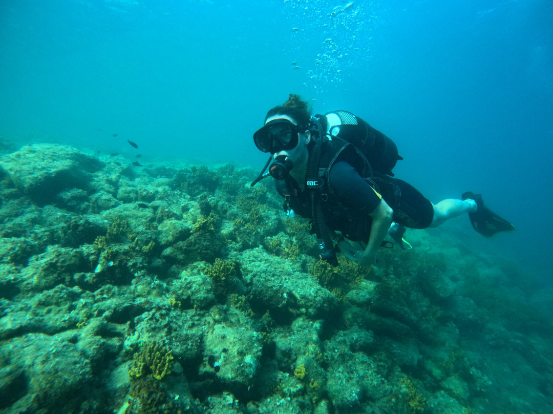 Argonauta Diving Resort-Rovies必去景点