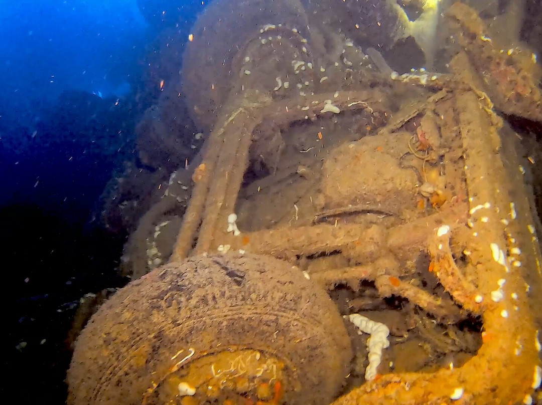 Coral Bay Divers-帕福斯必去景点