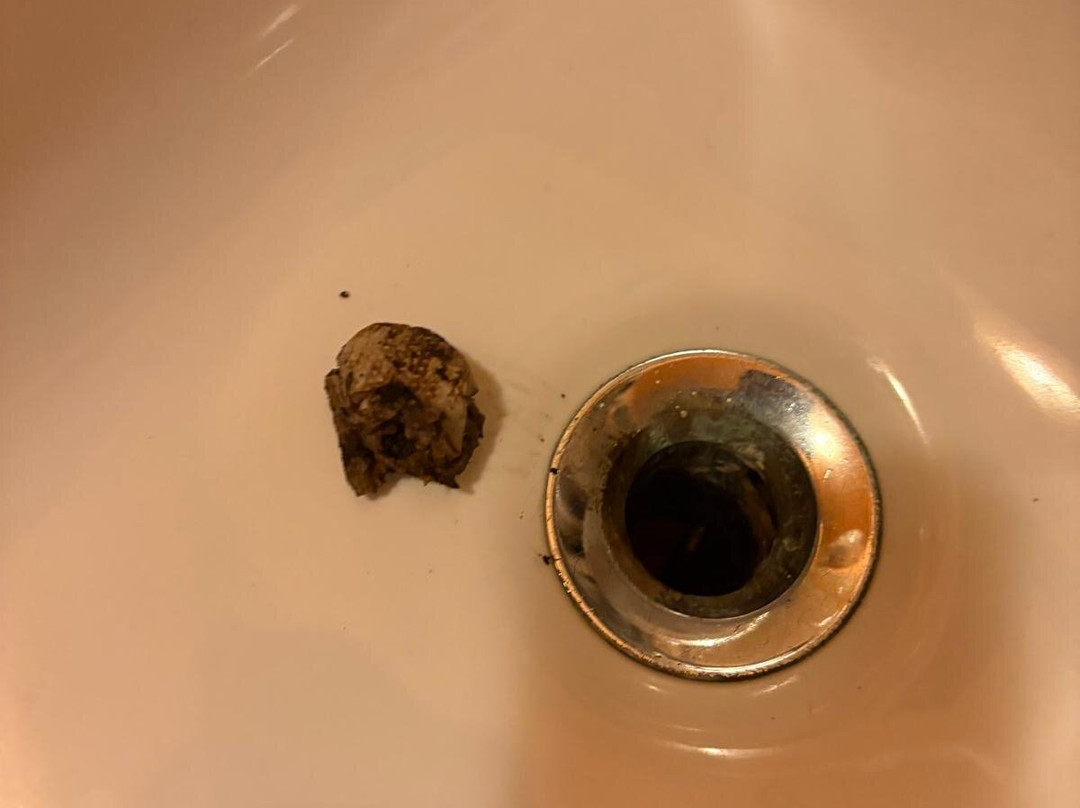 拉帕亚布蓝卡酒店主图