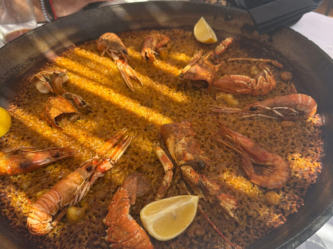 La Dehesa del Saler-巴伦西亚必去景点