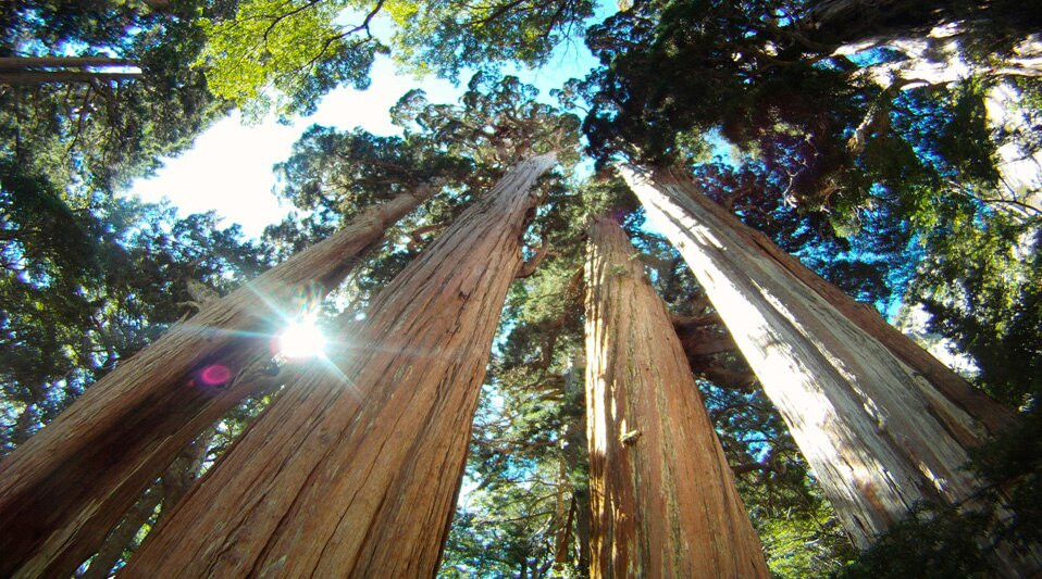 Turismo Explora Cochamó-Cochamo必去景点