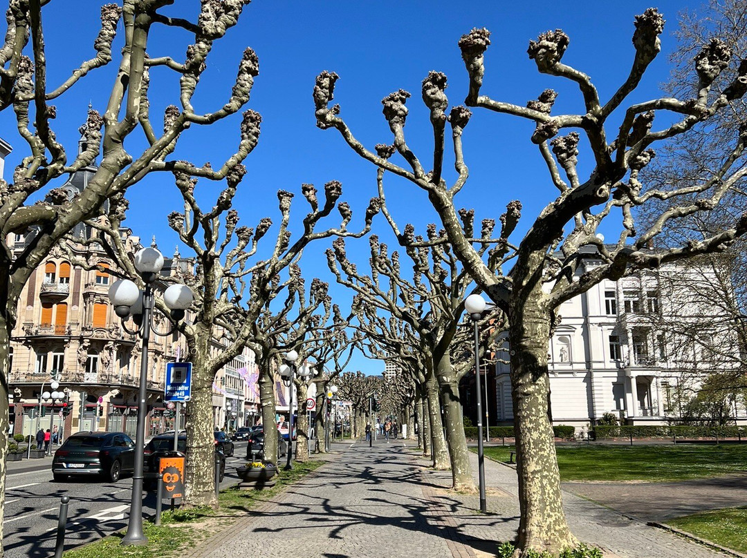 Wilhelmstraße-威斯巴登必去景点