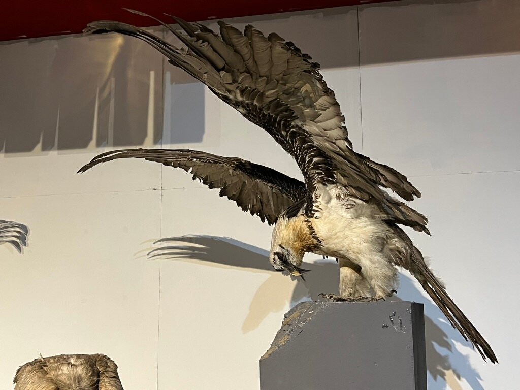 The Natural History Museum Of Mongolia-乌兰巴托必去景点