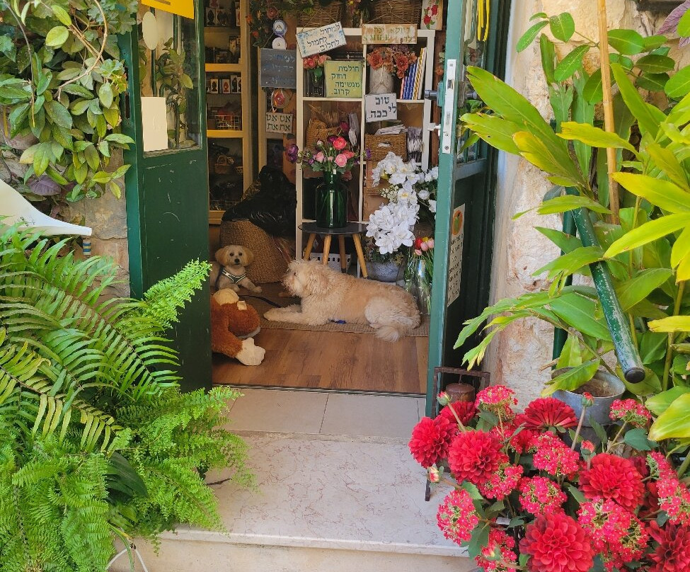 Zihron Ya'akov-Ein Ya'akov必去景点