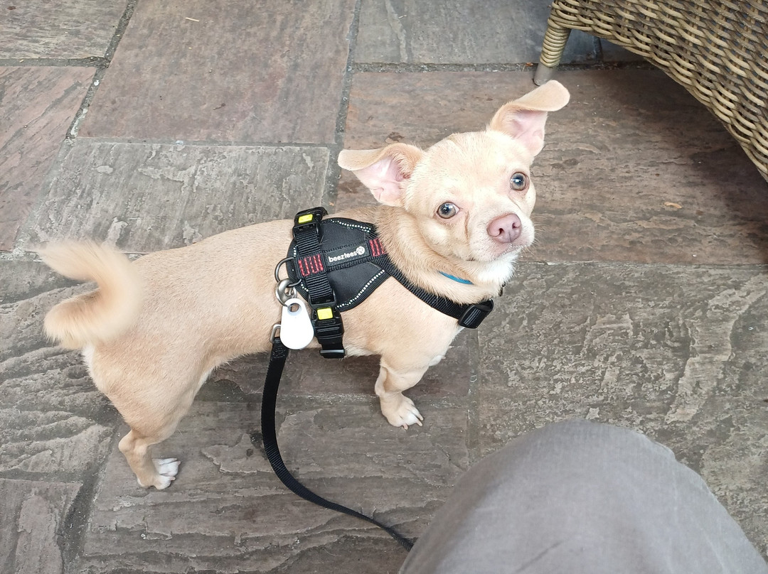 格林莱恩酒店主图