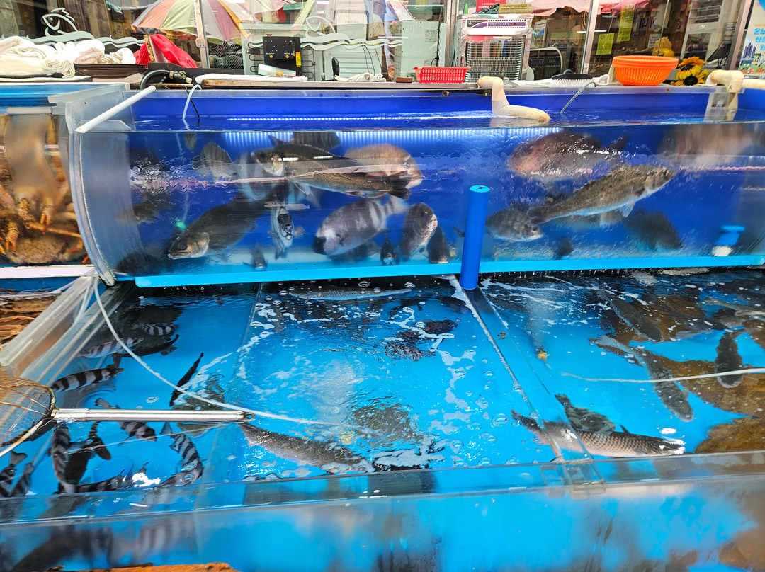 Busan Jagalchi Market Restaurant Hanwol Hoejip