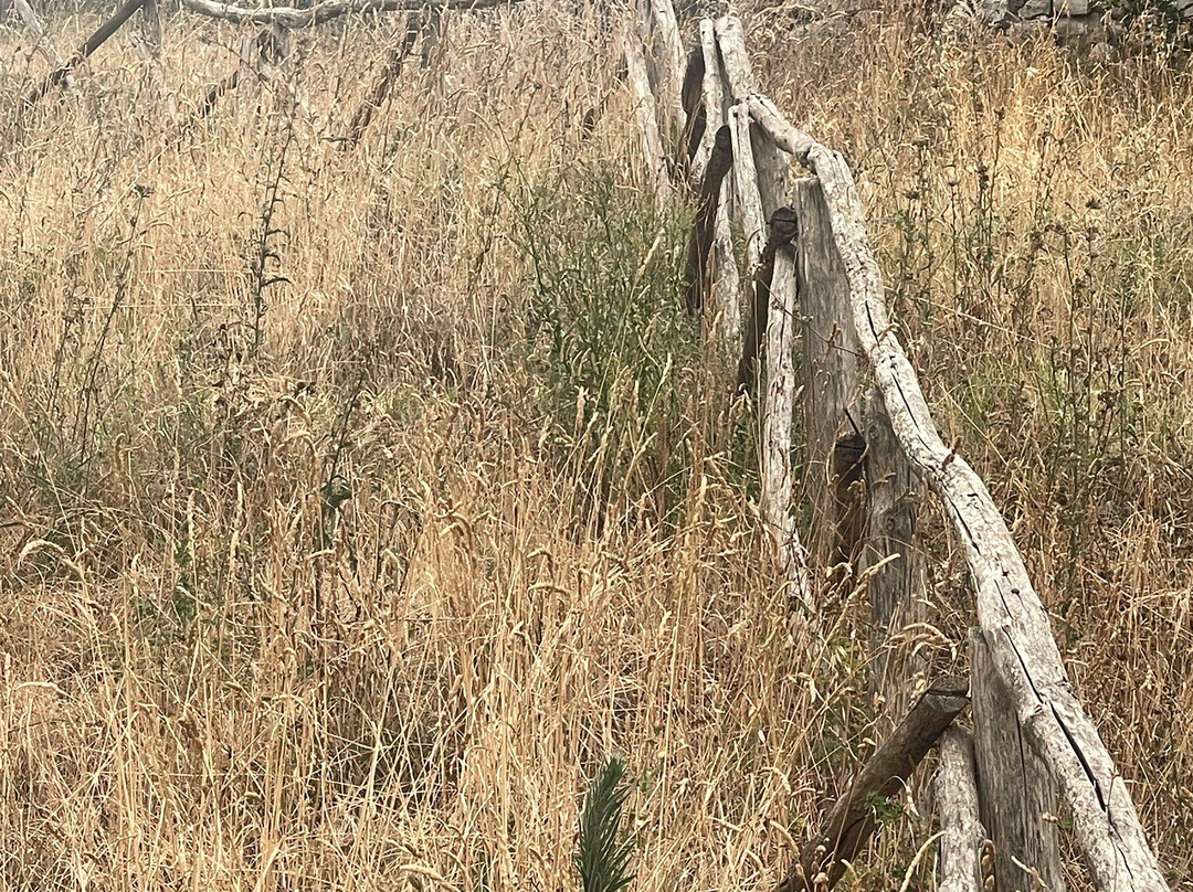 Castello di Casertavecchia-Casertavecchia必去景点