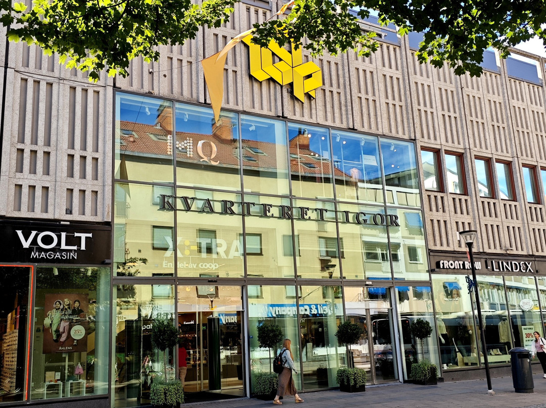 Kvarteret Igor-韦斯特罗斯必去景点